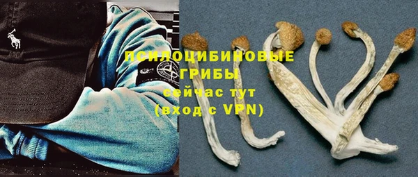 бошки Арсеньев