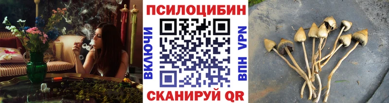 Псилоцибиновые грибы ЛСД Белокуриха